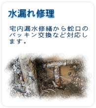 水漏れ修理